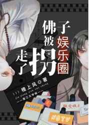 佛子被娱乐圈拐走了 免费