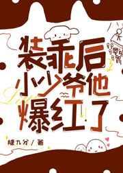 装乖后小少爷他爆红了叶景
