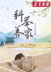 穿越后我靠科举养家番外