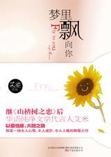 梦里飘向你 算黄书吗