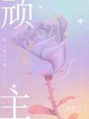 顽主百度百科