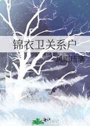 锦衣卫关系户晋江
