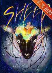 sheep造句