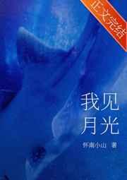 我见月光免费阅读