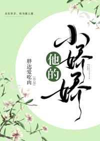 他的小娇娇 广宁王
