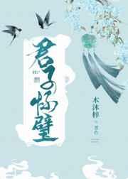 君子怀璧by木沐梓晋江