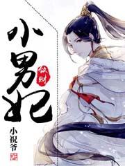 敛财小男妃免费全集