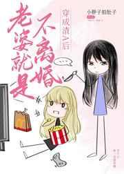 老婆就是不离婚 原版