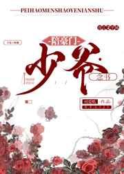 陪豪门少爷念书by