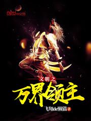 文明之万界领主介绍