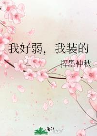我装的揽骄