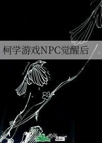 游戏npc在柯学