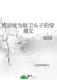被迫成为暗卫头子的穿越女男主是谁