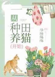 从种田养猫开始作者月寂烟雨