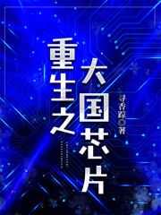 重生之大国芯片爱去网
