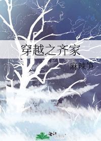穿越之齐家by