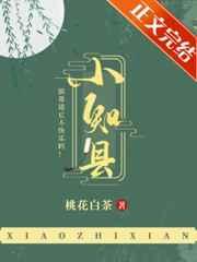 小知县纪炀全文免费阅读