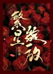 繁星绽放百度资源
