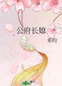 公府长媳讲的什么故事