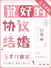 说好的协议结婚互不打扰呢什么意思