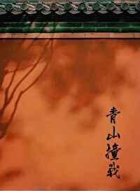 青山撞我三部曲 青山撞我三部曲