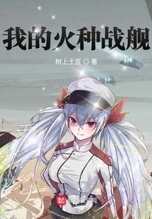 我的火种战舰起点