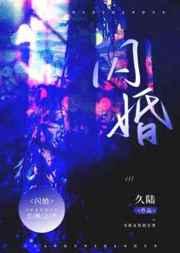 闪婚传全集