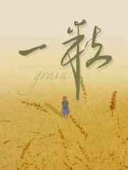 一粒沙里见世界