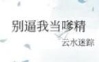 别嗲云水迷踪讲的什么