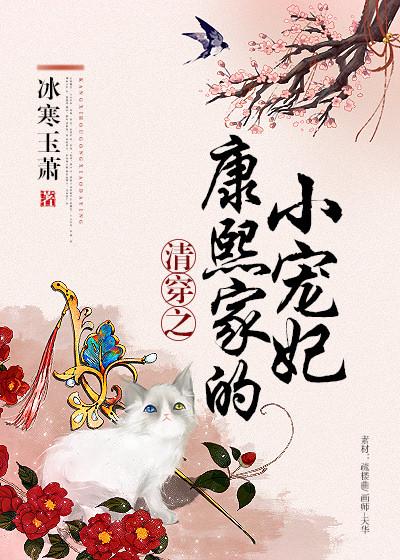 清穿之康熙家的小宠妃txt
