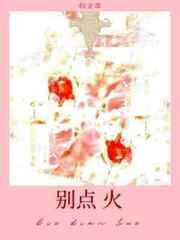 别点火全文免费阅读