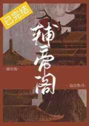 辅帝阁by临安教司晋江