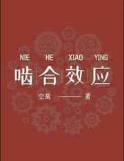啮合效应车在哪一章
