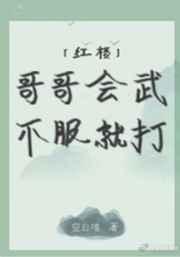红楼哥哥会武不服就打笔趣阁