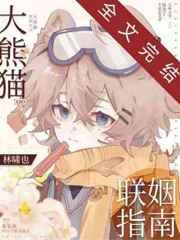 大熊猫联姻指南by林啸也TXT