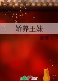 娇养王妹藤鹿山番外
