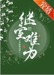 继室难为填房