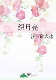 织月亮免费读