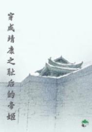 穿成靖康之耻后的帝姬讲的什么故事