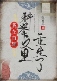 我在首辅科举文里重生了by兔月关