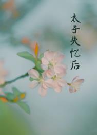 丞相夫人失忆后原名