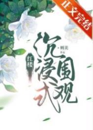 红楼沉浸式围观 晋江