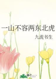 一山不容两东北虎 九流书生 txt