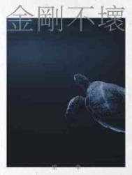 金刚不坏之身怎么练