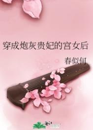 穿成炮灰贵妃的宫女后全文免费阅读