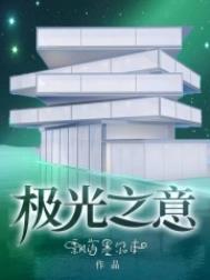 极光之意讲什么
