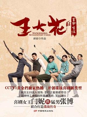 王大花的革命生涯豆瓣评分