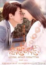 无爱承欢 简介