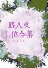 路人攻上位合集讲的什么