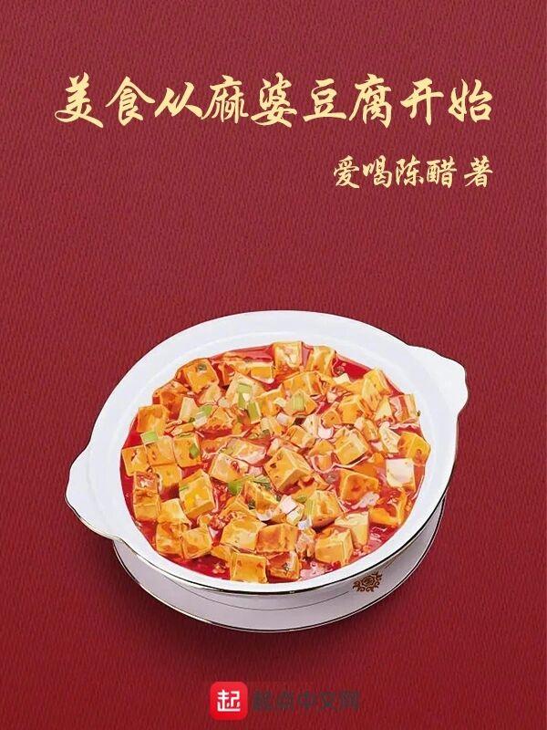 美食从麻婆豆腐开始TXT